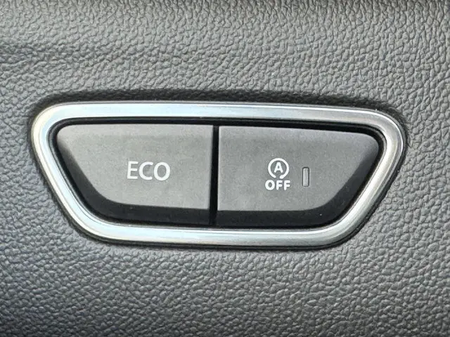 Renault Kadjar 1.3 TCe Intens 2021 Benzine 35