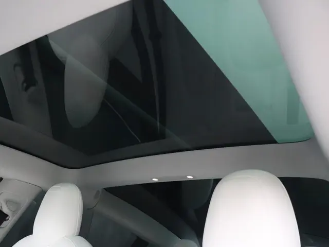 Tesla Model 3 Performance AWD 75 kWh 2019 Elektrisch 19