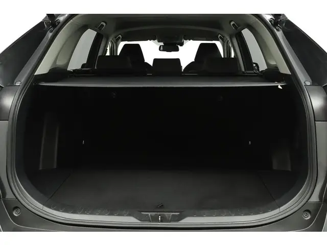 Toyota RAV4 2.5 Hybrid AWD Dynamic 2019 Hybride Benzine 22