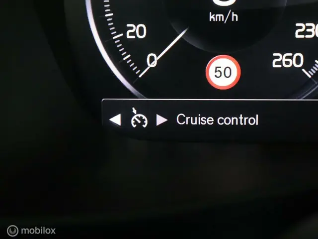 Volvo XC40 1.5 T3 Mom |Cam| stoelverw 2018 Benzine 39