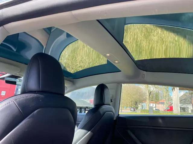 Tesla Model 3 Long Range AWD 75 kWh 2019 Elektrisch 17