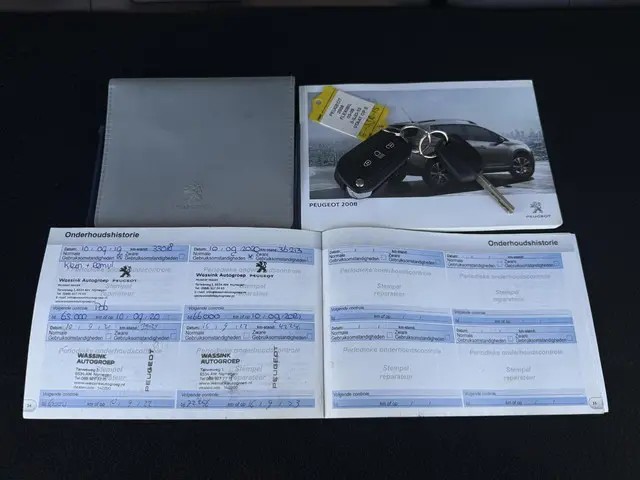 Peugeot 2008 1.6 VTi Féline 2013 Benzine 21