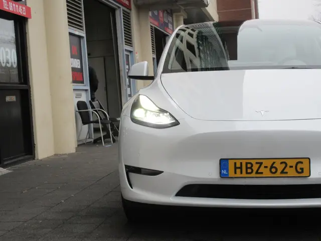 Tesla Model Y Long Range AWD 75 kWh 2021 Elektrisch 8