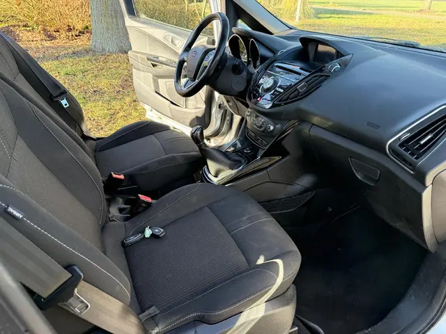 Ford B-MAX 1.0 EcoBoost Titanium 68000 KM 2014 Benzine 12