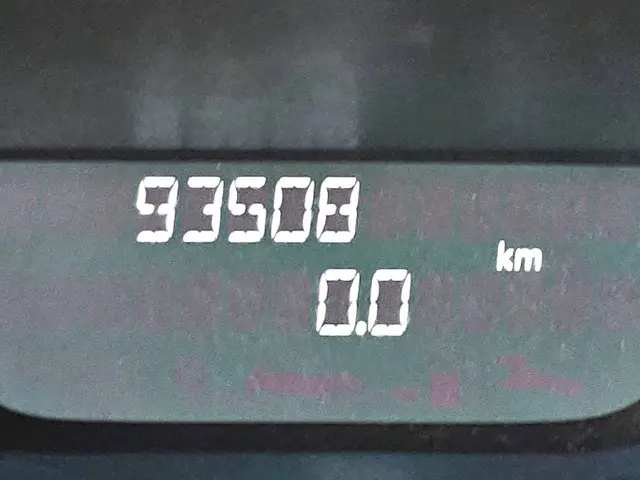 Renault Trafic 2.0 DCI 2019 Diesel 9