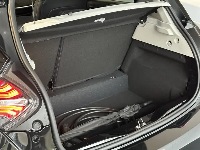 Renault ZOE R135 Iconic 52 kWh 2024 Elektrisch 9