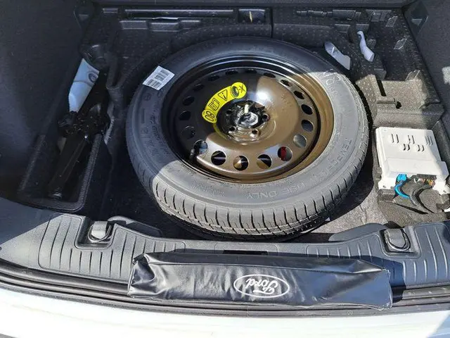 Ford Kuga 2.5 FHEV Active X 2024 Hybride Benzine 6