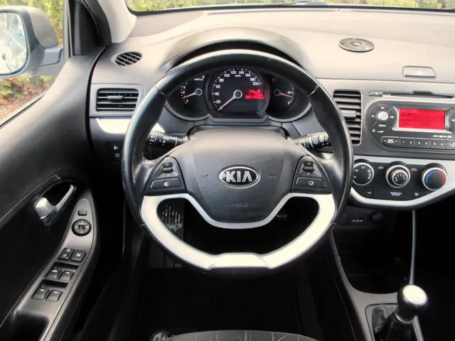 Kia Picanto 1.0 CVVT Design Edition*Airco*Pdc* 2013 Benzine 9