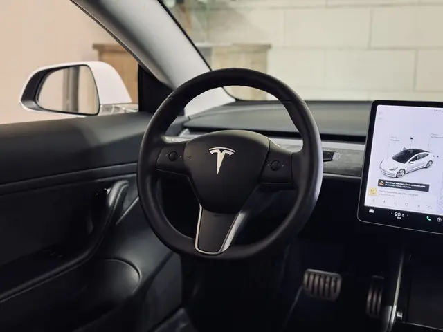 Tesla Model 3 Performance AWD 75 kWh 2019 Elektrisch 32