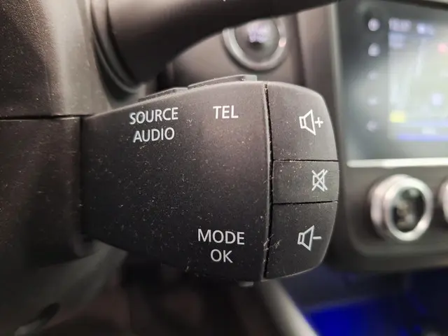 Renault Kadjar 1.3 TCe 160 EDC Intens 2019 Benzine 29