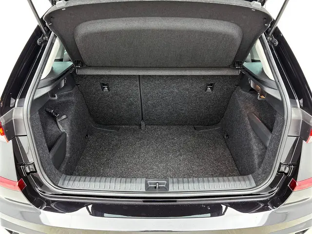 Škoda Kamiq 1.0 TSI Business Edition DSG 2025 Benzine 17