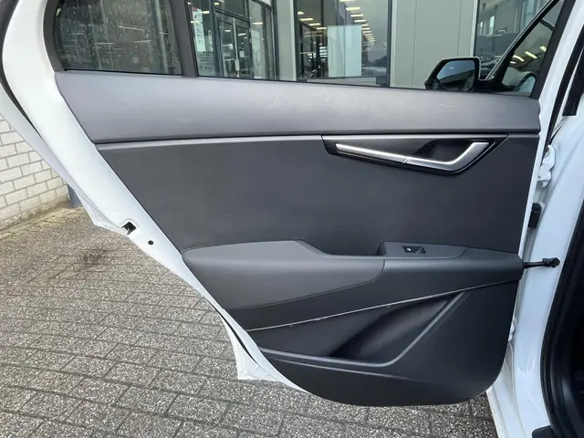 Kia Niro EV Edition 64.8 kWh 2023 Elektrisch 16