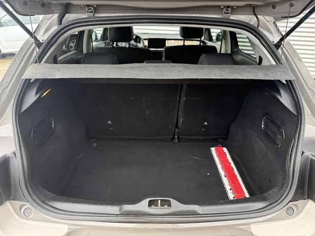 Citroën C4 Cactus 1.2 PureTech Business 2016 Benzine 27