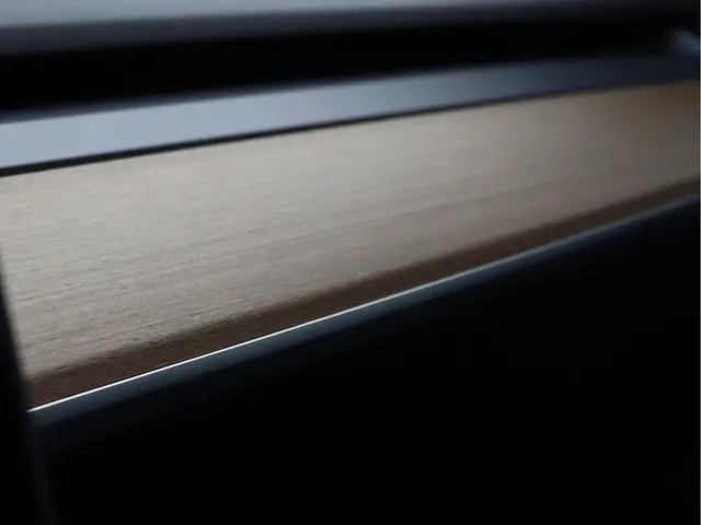 Tesla Model 3 Standard RWD Plus 60 kWh 2019 Elektrisch 49