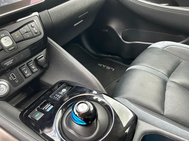 Nissan Leaf Tekna 40 kWh 2019 Elektrisch 14