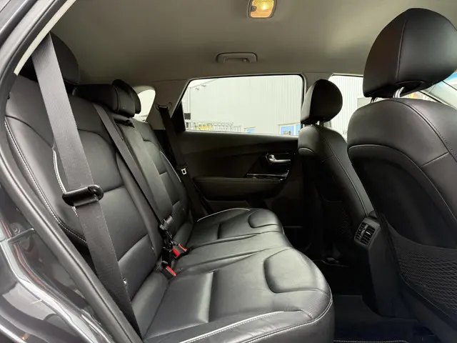 Kia e-Niro ExecutiveLine 64 kWh 2020 Elektrisch 14
