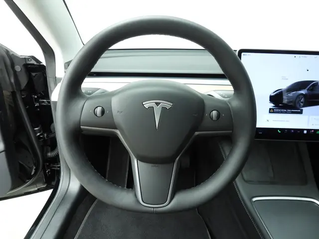 Tesla Model 3 Standard RWD Plus 60 kWh 2023 Elektrisch 7