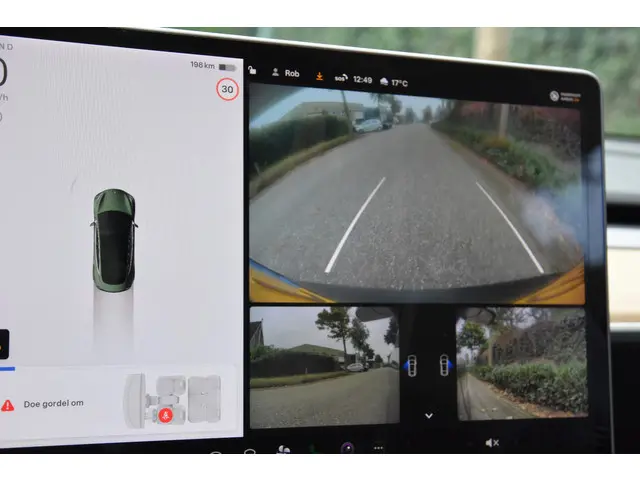 Tesla Model 3 Long Range AWD 75 kWh 2020 Elektrisch 10