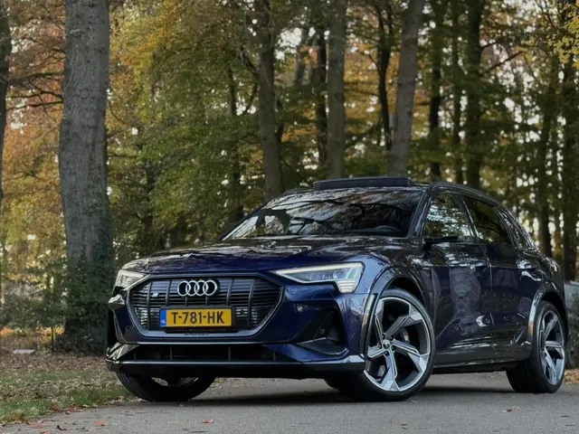 Audi e-tron S quattro 95 kWh 2021 Elektrisch 37