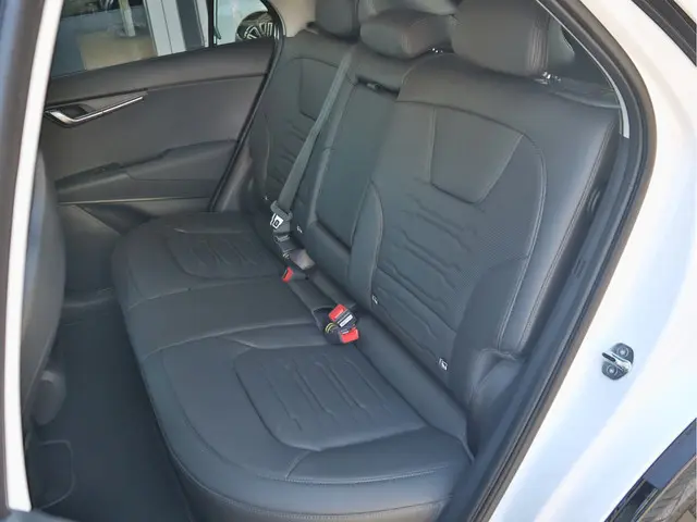 Kia Niro EV Edition Advanced 64.8 kWh 2024 Elektrisch 12