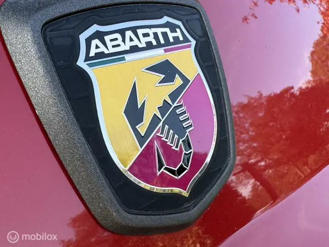 Fiat 500 1.4 T-Jet Abarth Turismo 2014 Benzine 24