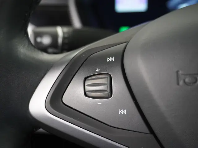 Tesla Model X Long Range 100Kwh 2020 Elektrisch 29