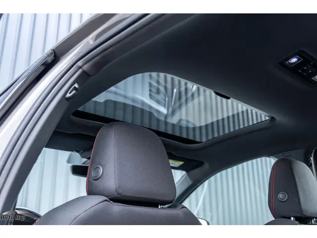 Volkswagen Polo 2.0 TSI GTI 2019 Benzine 25