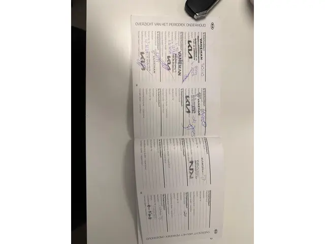 Kia e-Niro ExecutiveLine 64 kWh 2021 Elektrisch 25