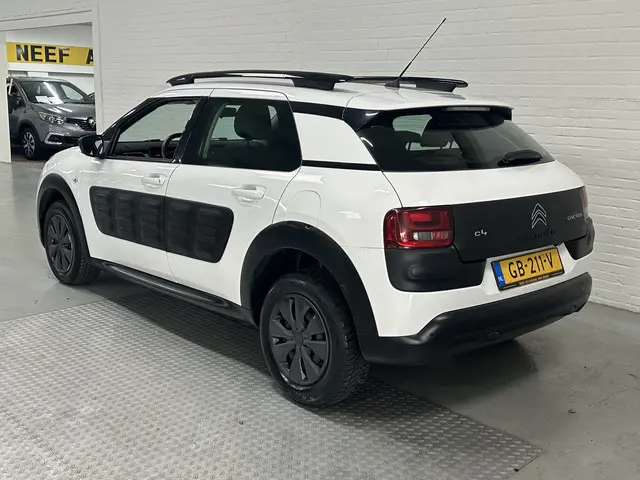 Citroën C4 Cactus 1.6 BlueHDi Business 2015 Diesel 13