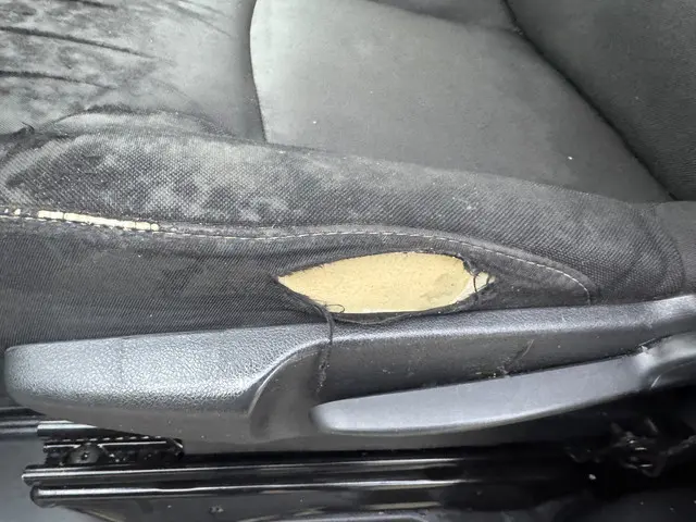 Renault Trafic 1.6 dCi T27 L1H1 Comfort 2019 Diesel 16