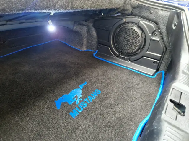 Ford Mustang Convertible 2.3 EcoBoost 2015 Benzine 11
