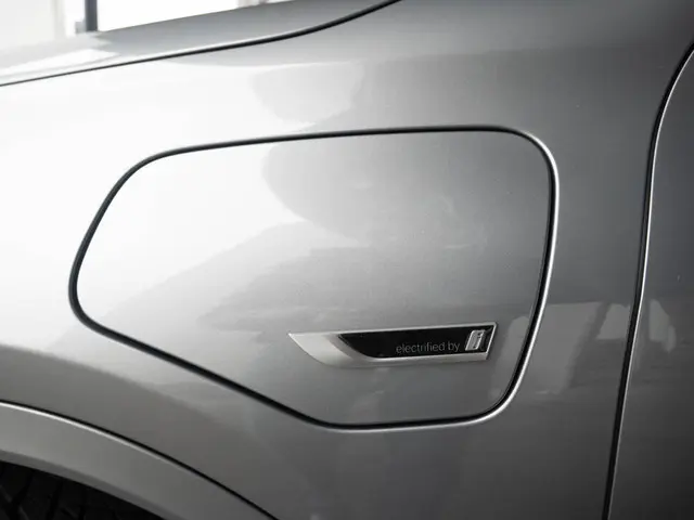 BMW X2 xDrive25e 2022 Hybride Benzine 18