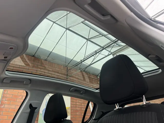 Peugeot 308 PureTech 110 Blue Lion 2017 Benzine 25