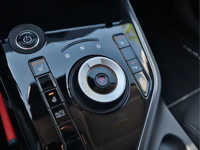 Kia Niro EV DynamicPlusLine 64.8 kWh 2023 Elektrisch 13