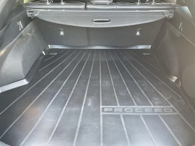 Kia ProCeed 1.6 T-GDi 204pk Automaat GT 2021 Benzine 29