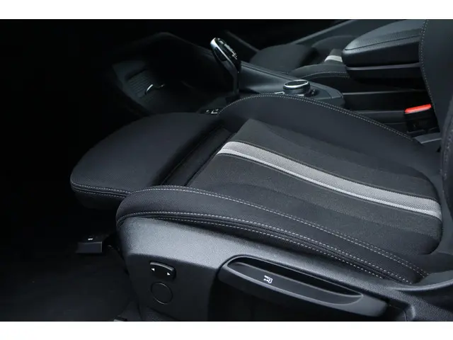 BMW X1 sDrive20i Executive Edition 2019 Benzine 10