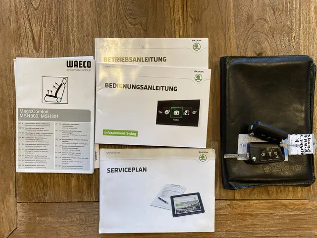 Škoda Fabia 1.0 Active 2016 Benzine 5