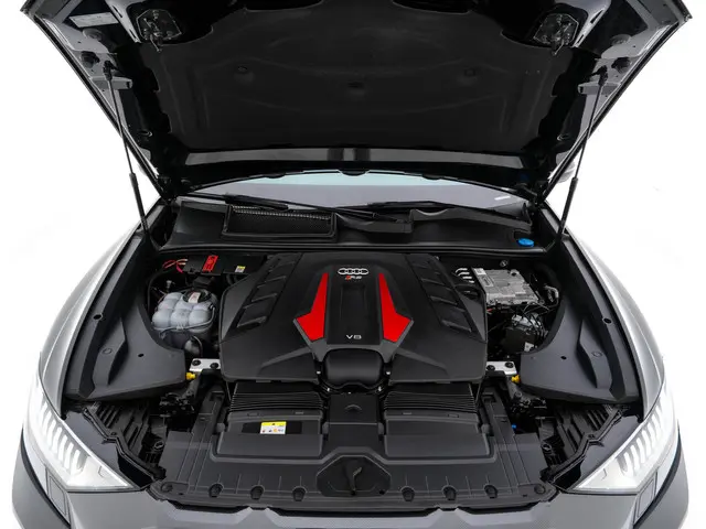 Audi RSQ8 4.0 TFSI Quattro 2021 Benzine 44