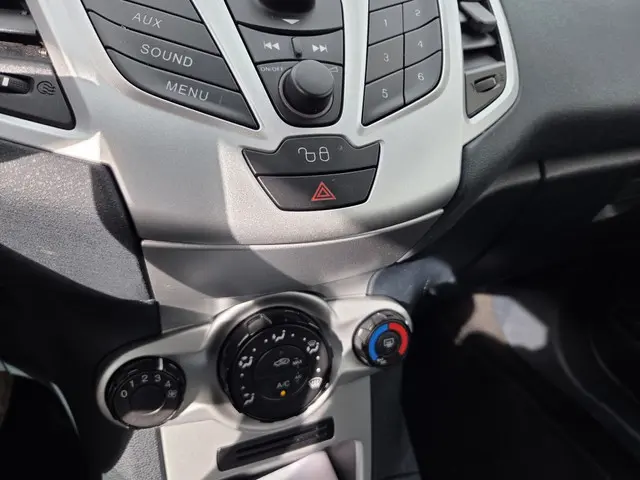 Ford Fiesta 1.25 Limited 2012 Benzine 15