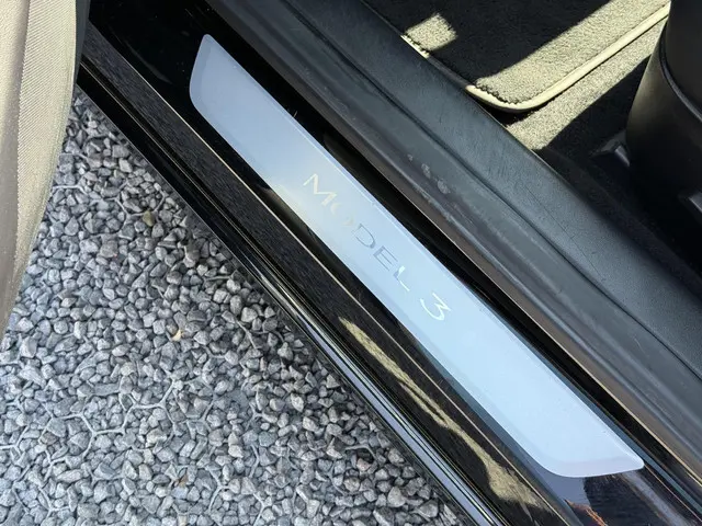 Tesla Model 3 Long Range AWD 75 kWh 2019 Elektrisch 29