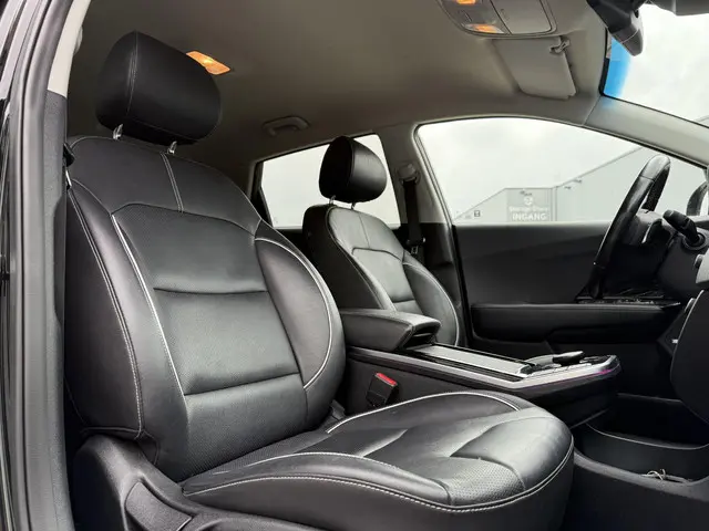 Kia e-Niro ExecutiveLine 64 kWh 2020 Elektrisch 11