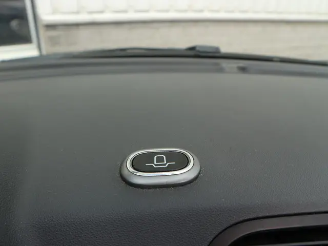 Fiat 500C 1.2 Lounge 2012 Benzine 12