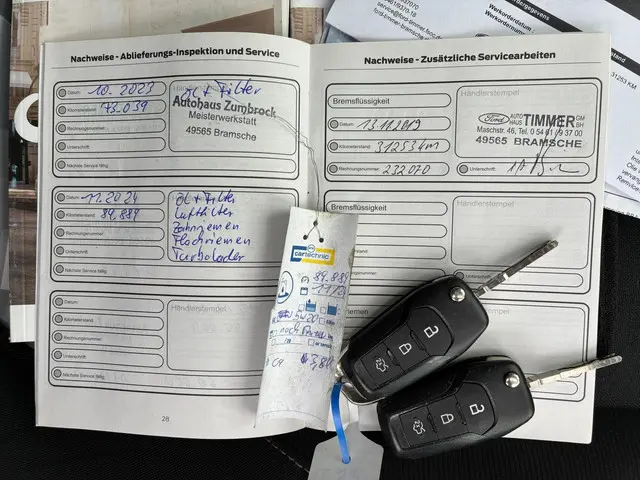 Ford Fiesta HELAAS VERKOCHT!!! 2017 Benzine 26