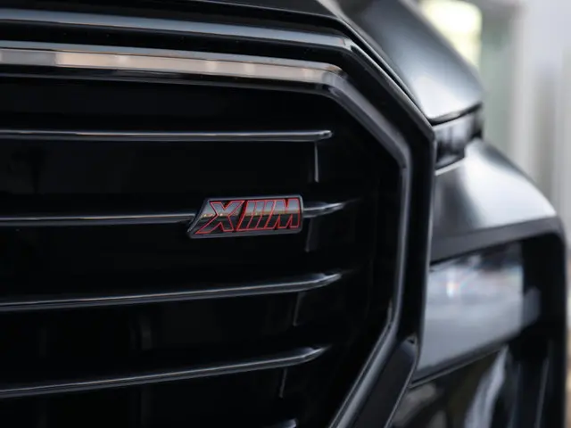 BMW XM PHEV Label Red 30 kWh 2025 Hybride Benzine 5