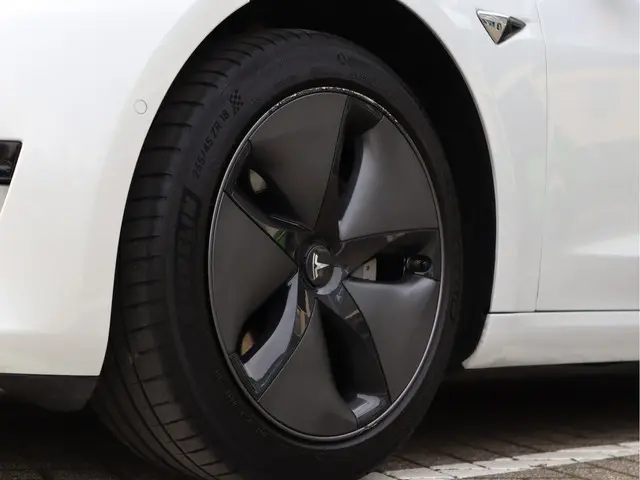 Tesla Model 3 Standard RWD Plus 60 kWh 2019 Elektrisch 11