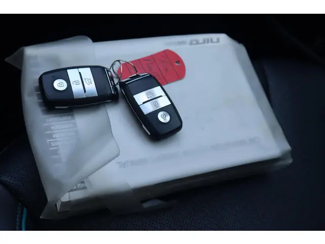 Kia e-Niro DynamicLine 64 kWh 2019 Elektrisch 4