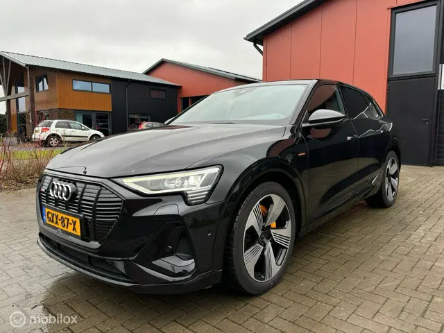 Audi e-tron 55 quattro S edition 95 kWh 2021 Elektrisch 7