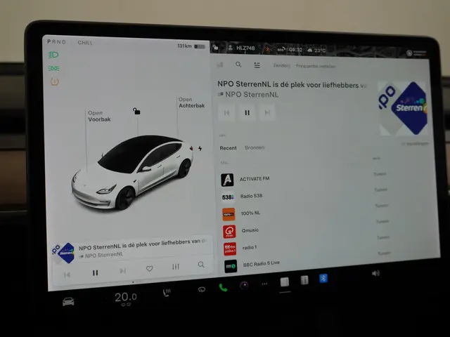 Tesla Model 3 Standard RWD Plus 60 kWh 2021 Elektrisch 33
