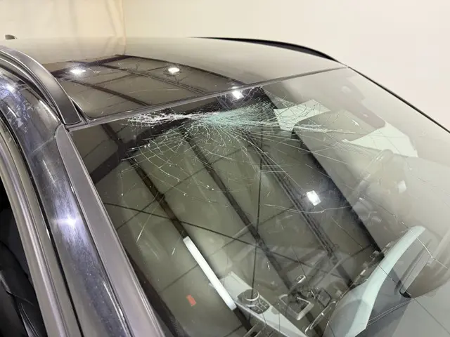 BMW 3 Serie Touring 318i M Sport Aut8 2019 Benzine 12