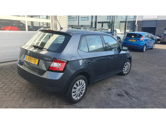 Škoda Fabia 1.2 TSI Monte Carlo 2017 Benzine 18